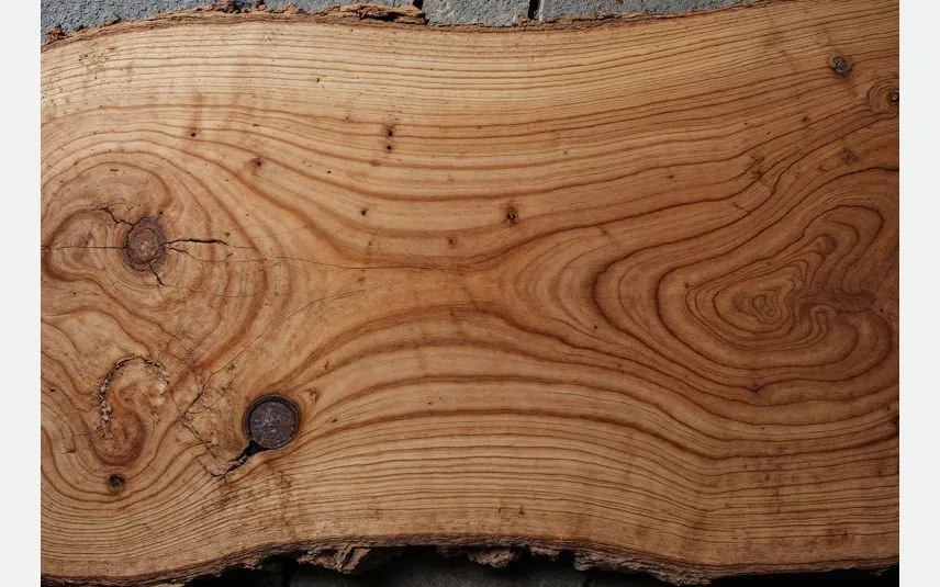 Legno di pino venduto da Union Legno a Padova