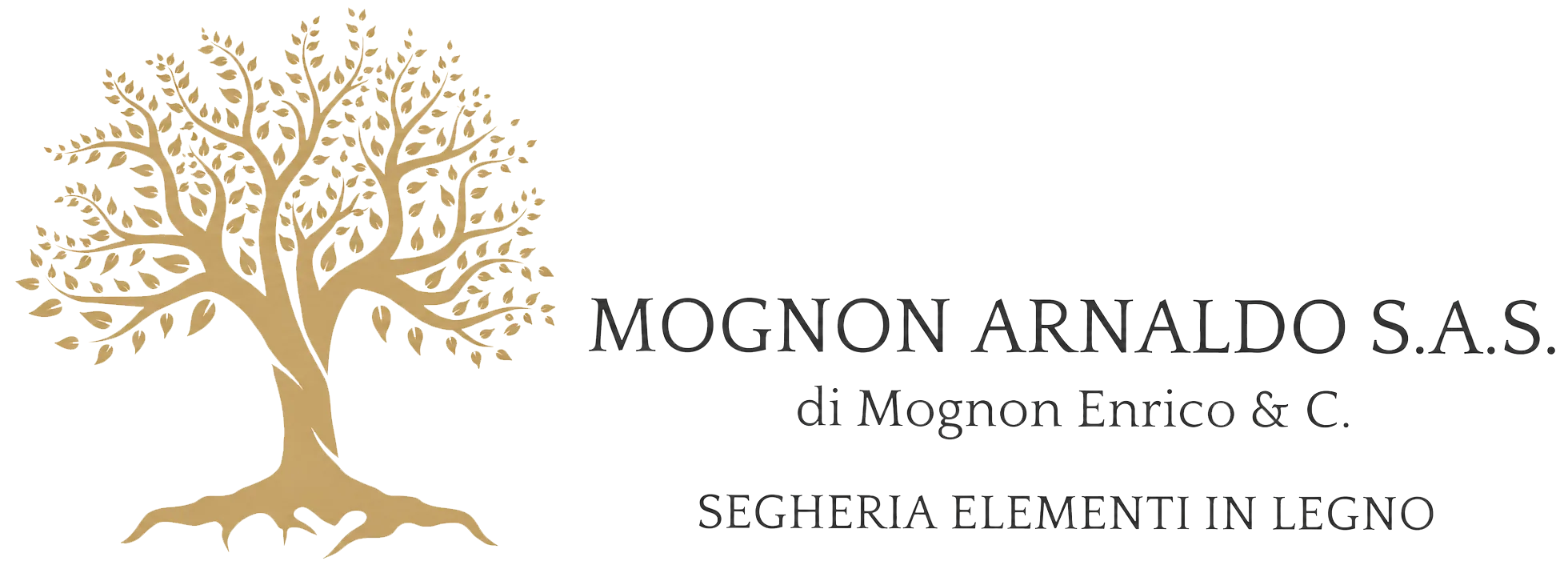 Logo azienda Mognon Arnaldo